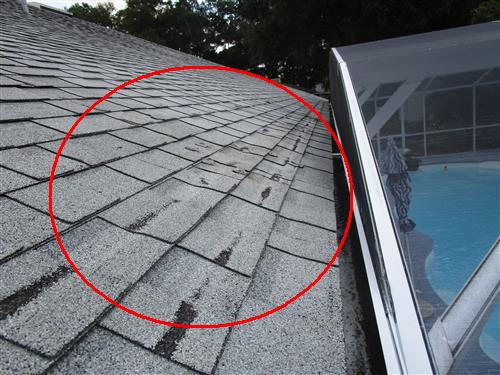 Turner Home Inspection Services Tampa Bay inspection photo 31