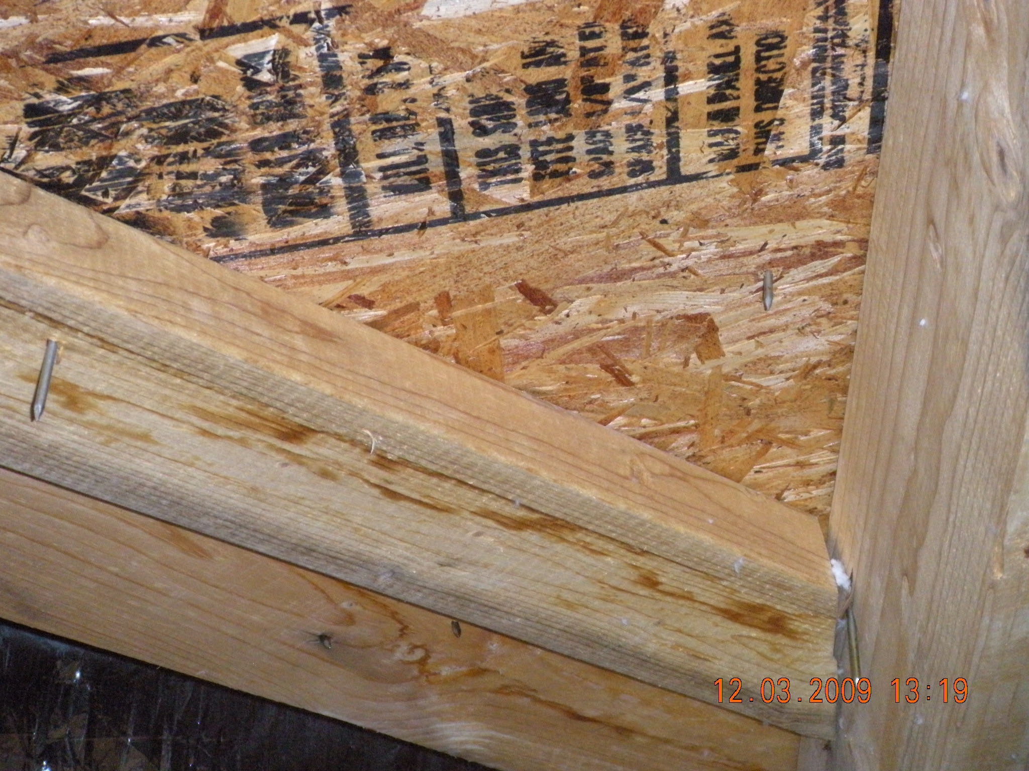Turner Home Inspection Services Tampa Bay inspection photo 39